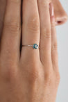 14K White Gold Blue and White Diamond 1MM Daisy Flower Ring-Rings-ASSAY