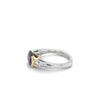 3.50 Carat Oval Cut Rubellite Tourmaline East West Ring with Tsavorite, Diamond, Platinum & 18k Gold-Semi Precious Jewelry-ASSAY