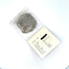 Atocha Shipwreck 8 Reale Grade 1 Coin-Coins-ASSAY