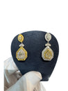 EGL Certified 5.68 Carat Multi Cut White & Yellow Diamond Inverse Dangle Earring