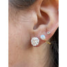 6.00 Carat Lab Grown Diamond Stud Earrings in 14k solid Gold - 3 Prong